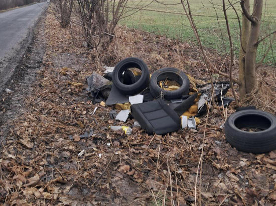 Sprzątanie pozimowe